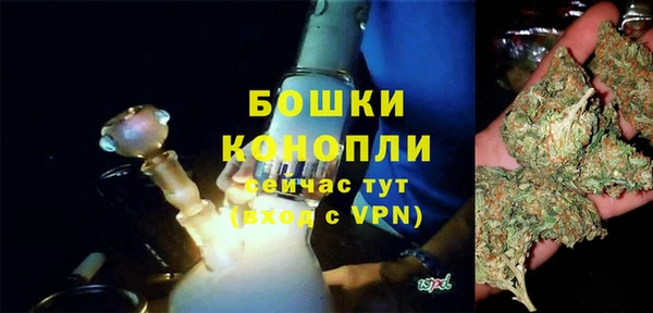 индика Баксан