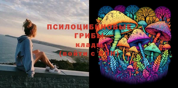 гидропоника Балахна