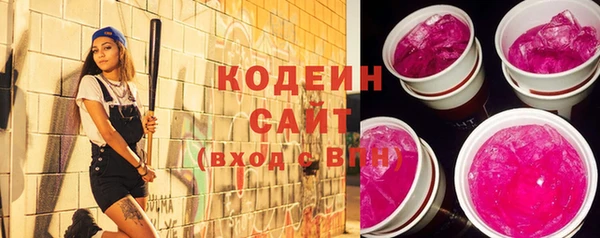 индика Баксан